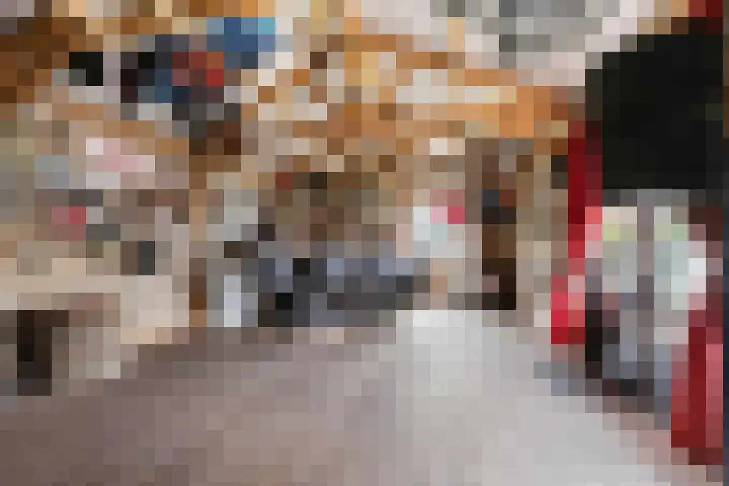 Reisvennestraat 53 Valkenswaard thumbnail 38