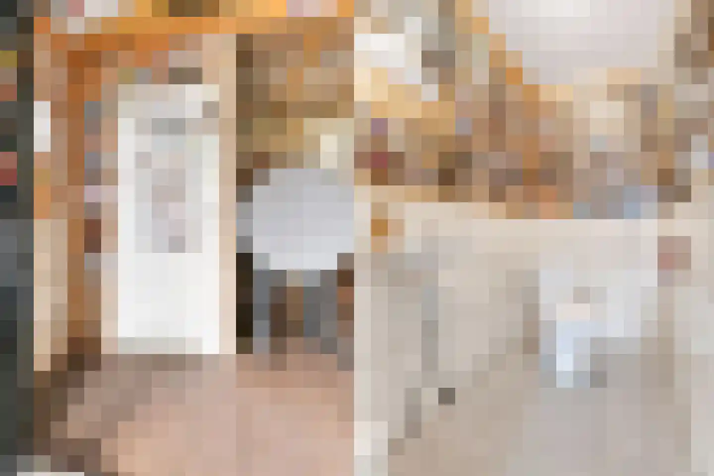 Reisvennestraat 53 Valkenswaard thumbnail 39