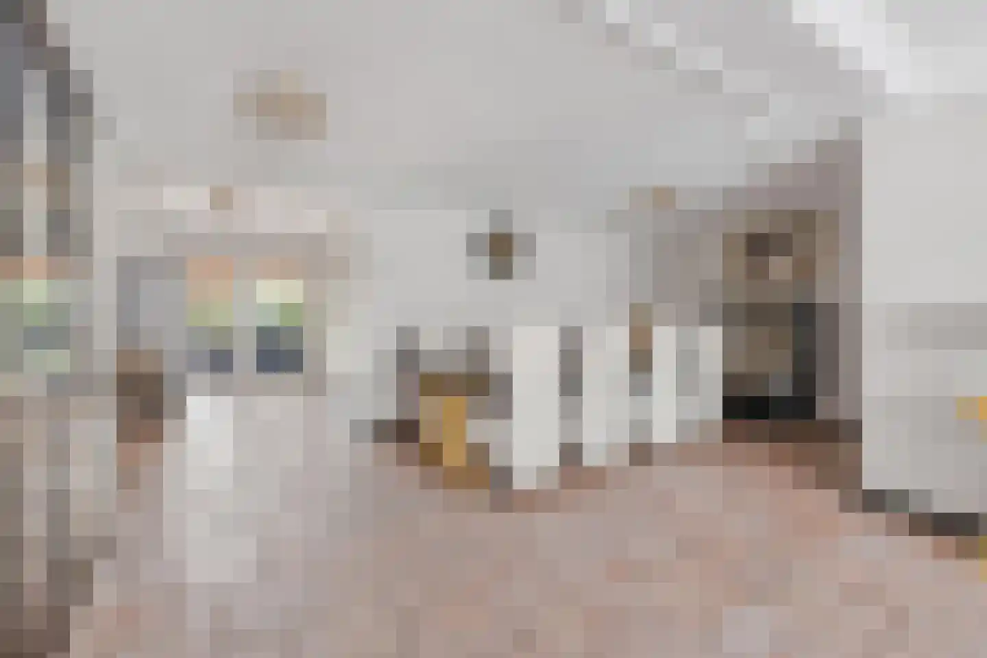Reisvennestraat 53 Valkenswaard thumbnail 4