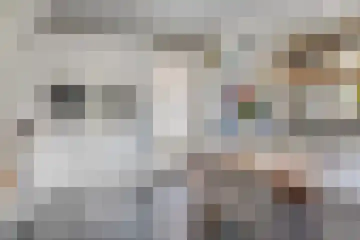 Reisvennestraat 61 Valkenswaard thumbnail 10