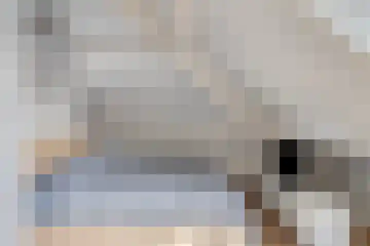 Reisvennestraat 61 Valkenswaard thumbnail 32