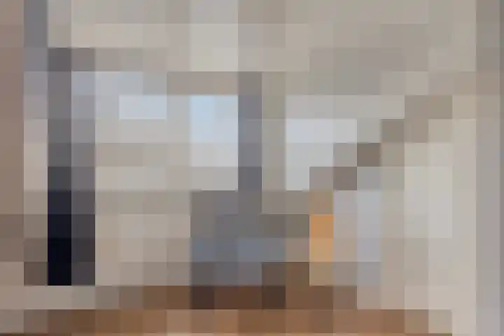 Reisvennestraat 61 Valkenswaard thumbnail 33