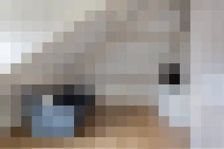 Reisvennestraat 61 Valkenswaard thumbnail 34