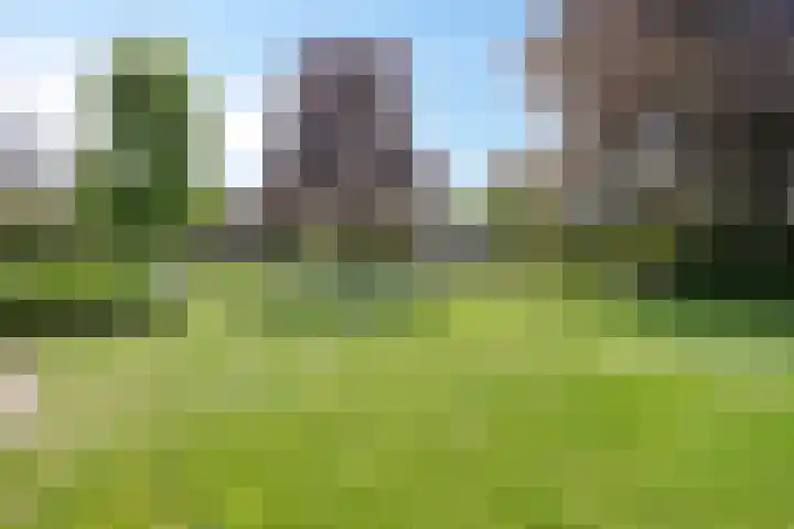 Reisvennestraat 61 Valkenswaard thumbnail 36