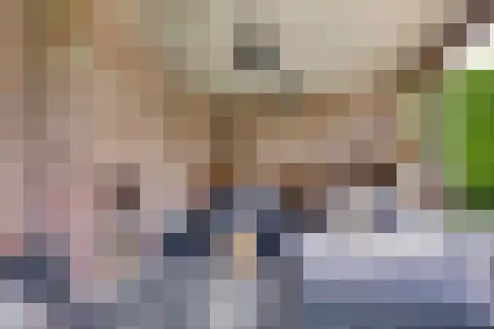 Reisvennestraat 61 Valkenswaard thumbnail 39