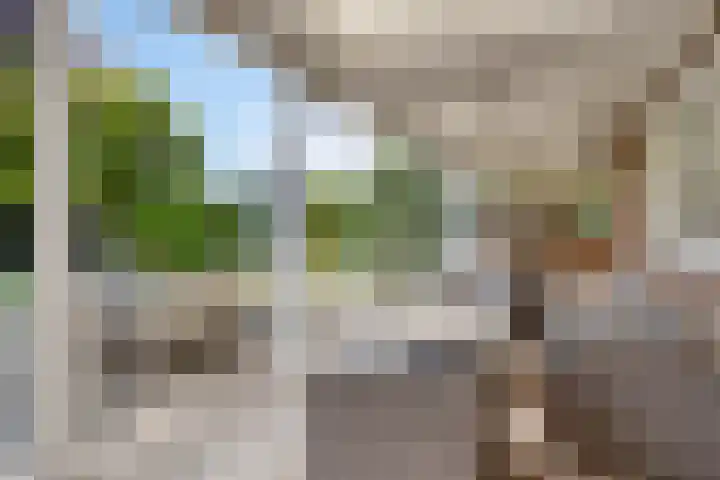 Reisvennestraat 61 Valkenswaard thumbnail 43