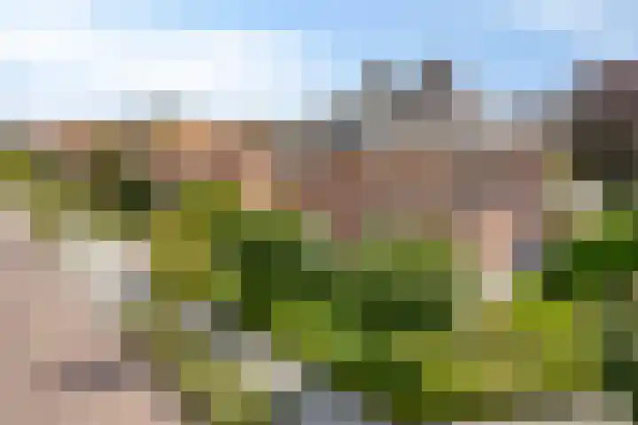 Reisvennestraat 61 Valkenswaard thumbnail 47