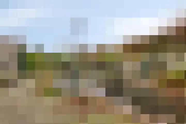 Reisvennestraat 63 Valkenswaard thumbnail 33