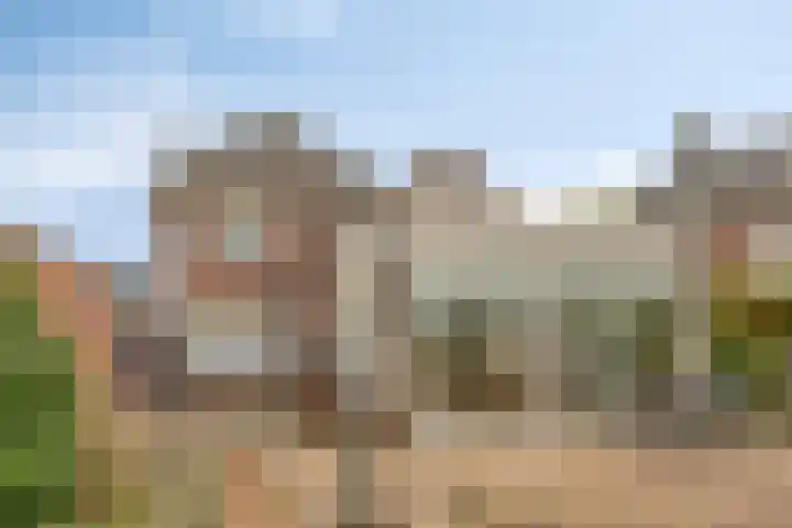 Reisvennestraat 63 Valkenswaard thumbnail 35