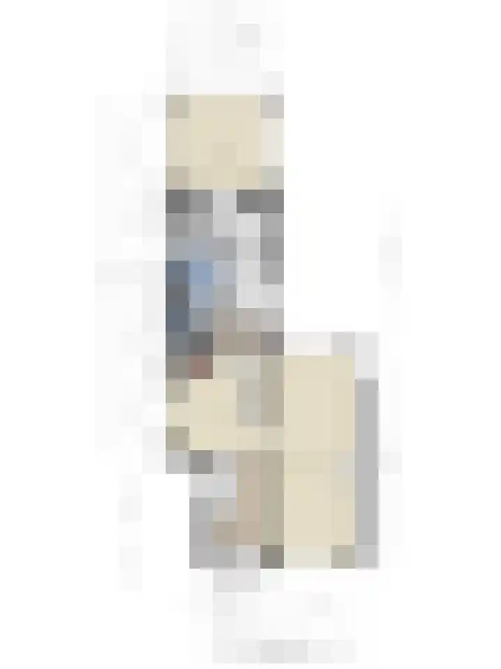 Reisvennestraat 63 Valkenswaard thumbnail 38