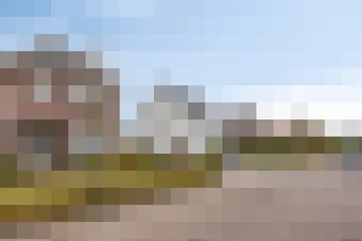 Reisvennestraat 63 Valkenswaard thumbnail 5