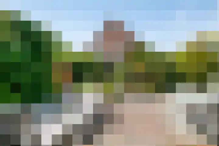 Reitdiep 12 Zaandam thumbnail 33