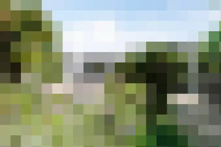 Reitdiep 12 Zaandam thumbnail 35