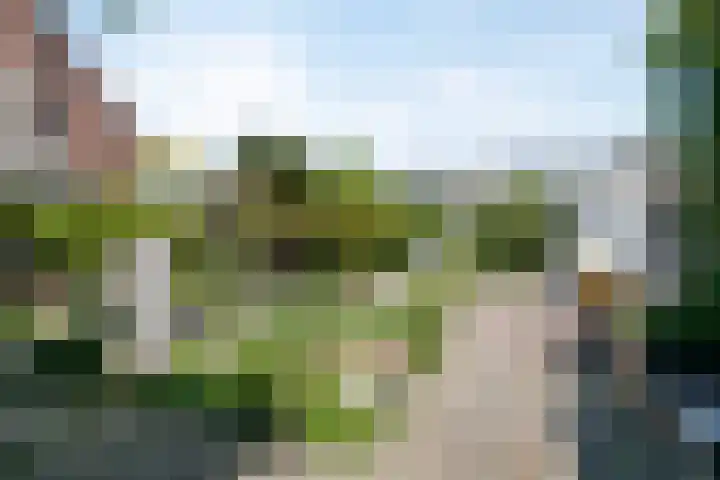 Reitdiep 12 Zaandam thumbnail 36