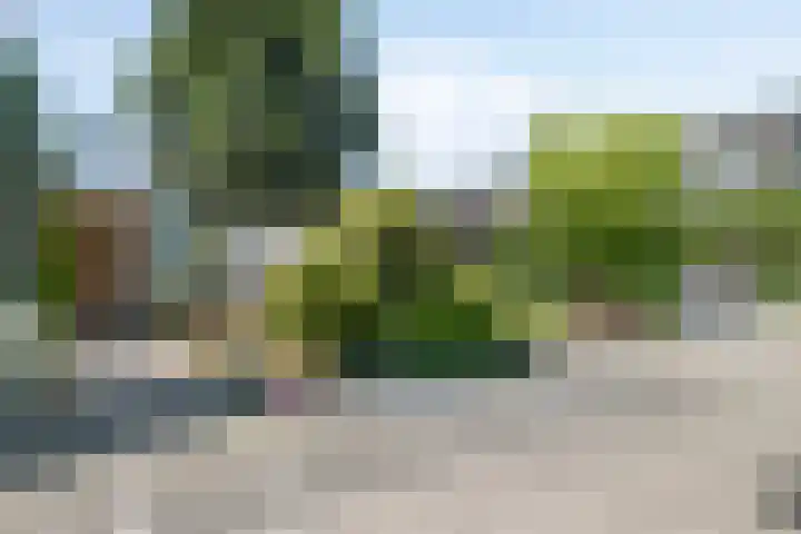 Reitdiep 12 Zaandam thumbnail 37
