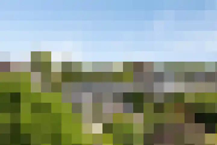 Reitdiep 12 Zaandam thumbnail 39