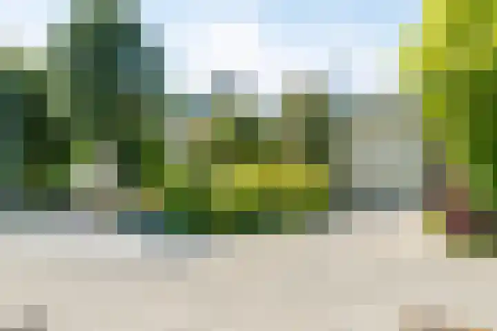 Reitdiep 12 Zaandam thumbnail 40