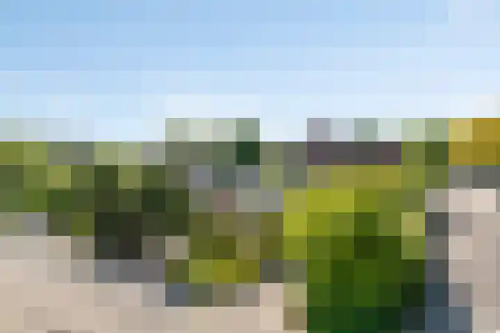 Reitdiep 12 Zaandam thumbnail 42