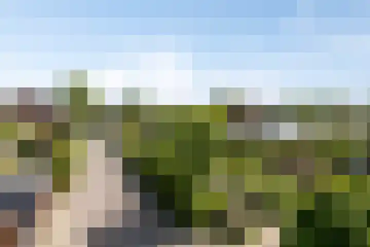 Reitdiep 12 Zaandam thumbnail 43