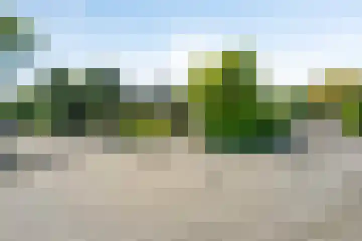 Reitdiep 12 Zaandam thumbnail 44