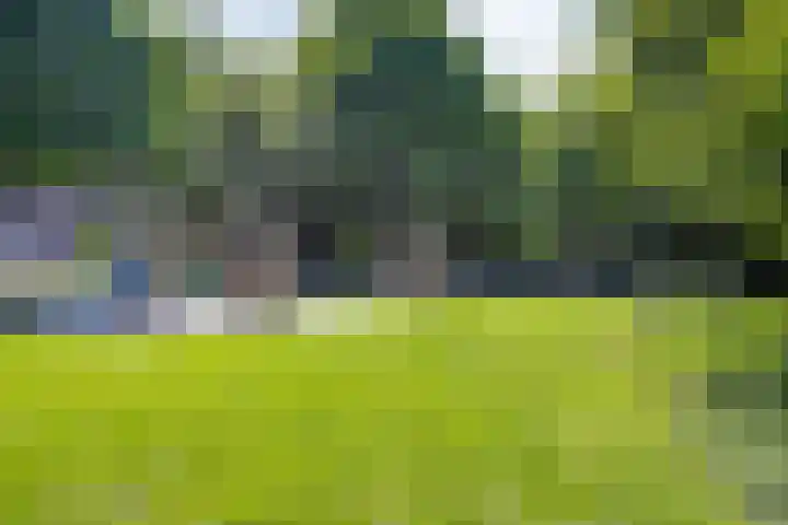 Reitdiep 12 Zaandam thumbnail 47