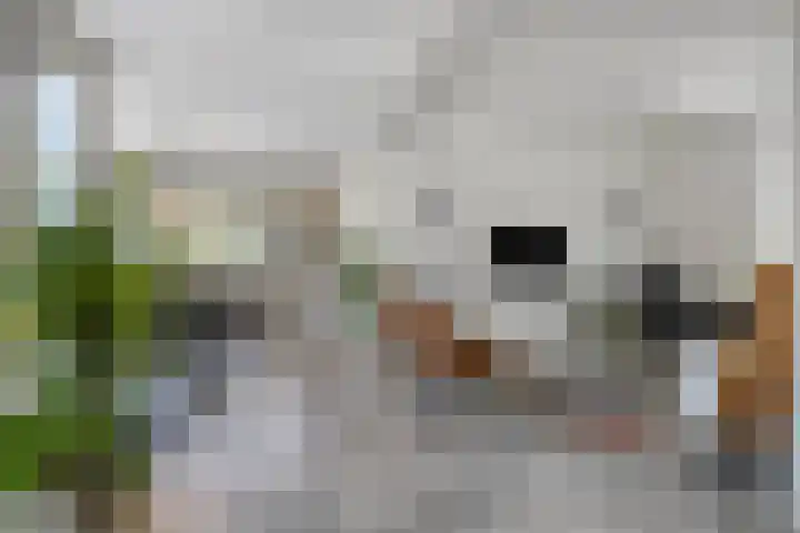 Reitdiep 12 Zaandam thumbnail 8
