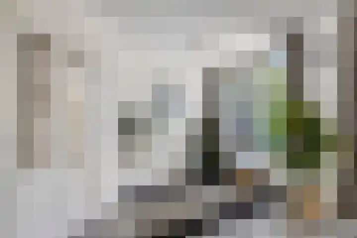 Reitdiep 12 Zaandam thumbnail 9