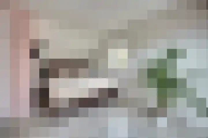 Reitdiep 60 Capelle aan den IJssel thumbnail 16