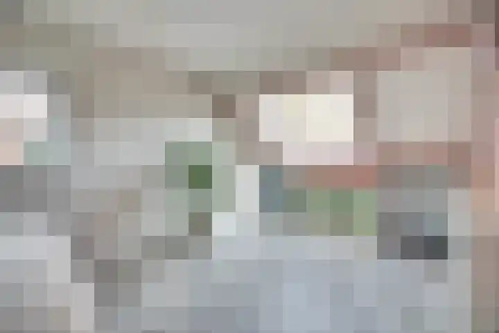 Reitdiep 60 Capelle aan den IJssel thumbnail 17