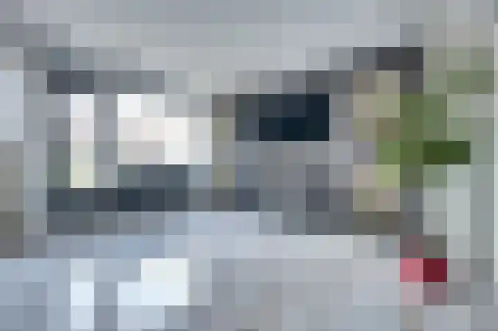 Reitdiep 60 Capelle aan den IJssel thumbnail 4