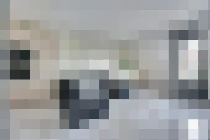 Reitdiep 60 Capelle aan den IJssel thumbnail 6
