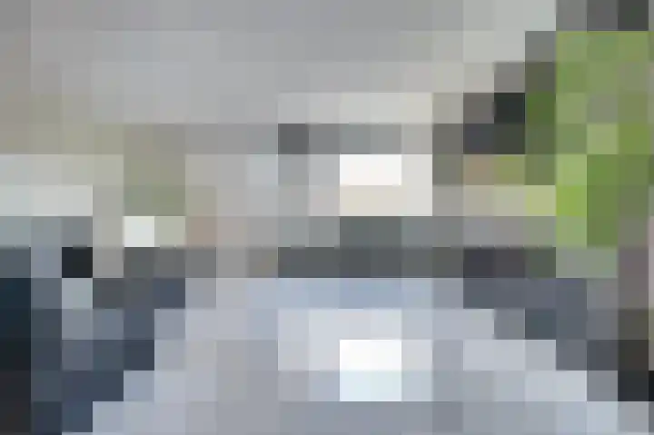 Reitdiep 60 Capelle aan den IJssel thumbnail 7