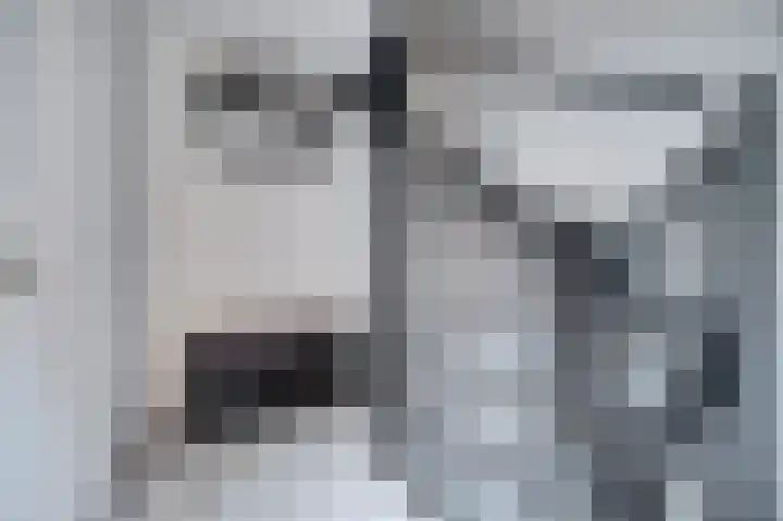 Reitdiep 60 Capelle aan den IJssel thumbnail 8