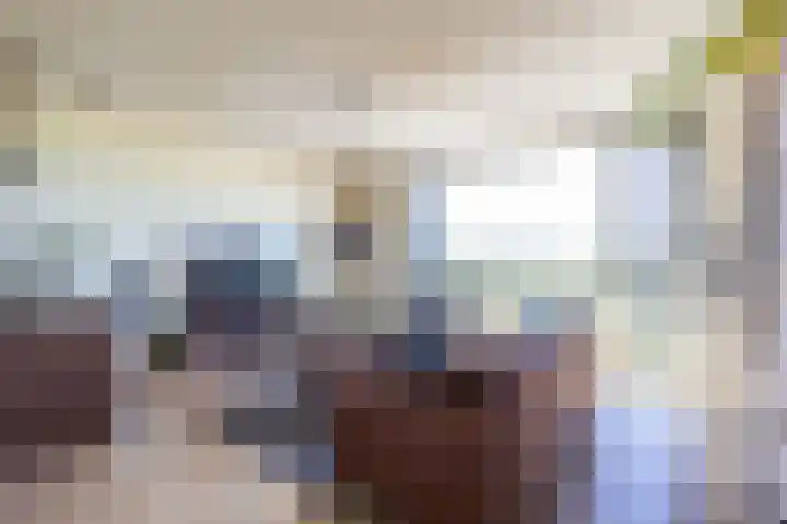 Reitdiephaven 225 in Groningen