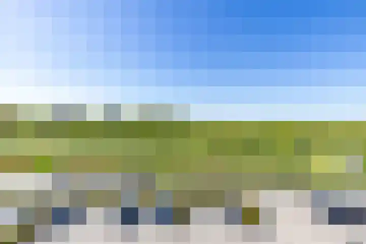 Reitdiephaven 225 Groningen thumbnail 28