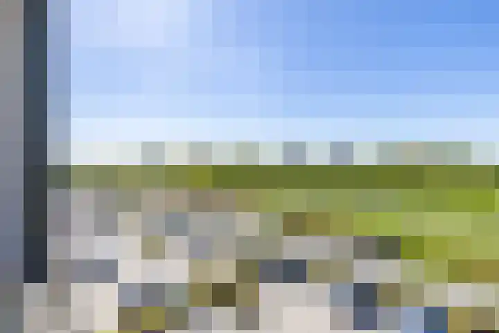 Reitdiephaven 225 Groningen thumbnail 29