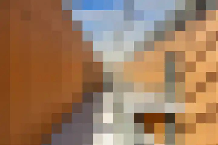 Reitdiephaven 225 Groningen thumbnail 8
