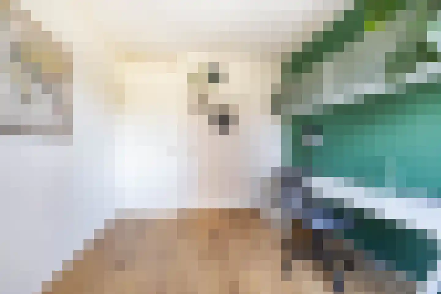 Reitdiephaven 377 Groningen thumbnail 37