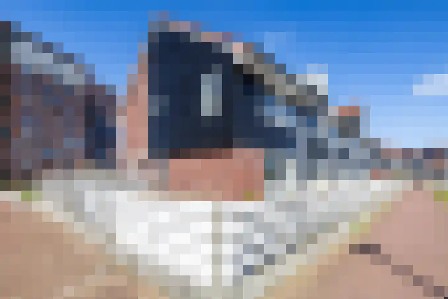 Reitdiephaven 377 Groningen thumbnail 4