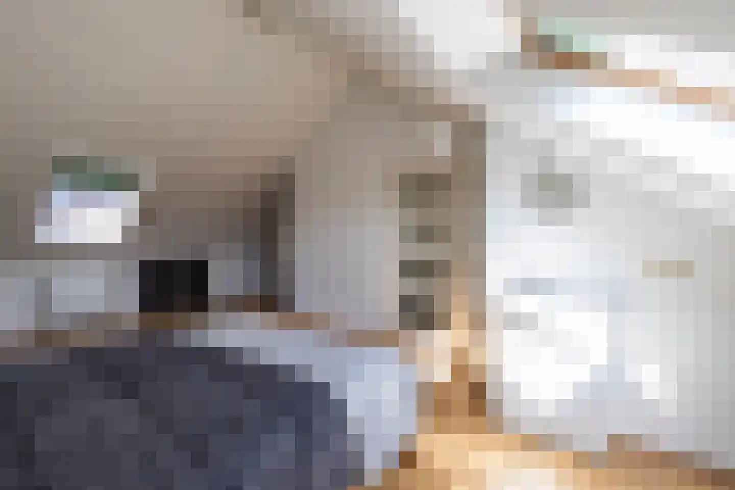 Reitdiephaven 377 Groningen thumbnail 43