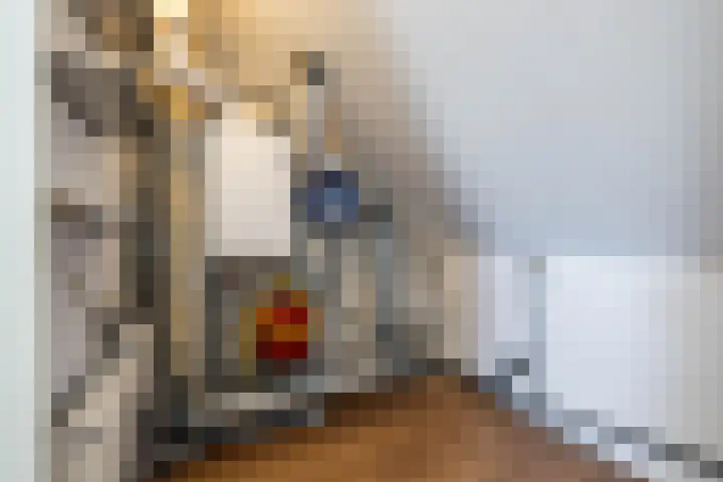 Reitdiephaven 377 Groningen thumbnail 45