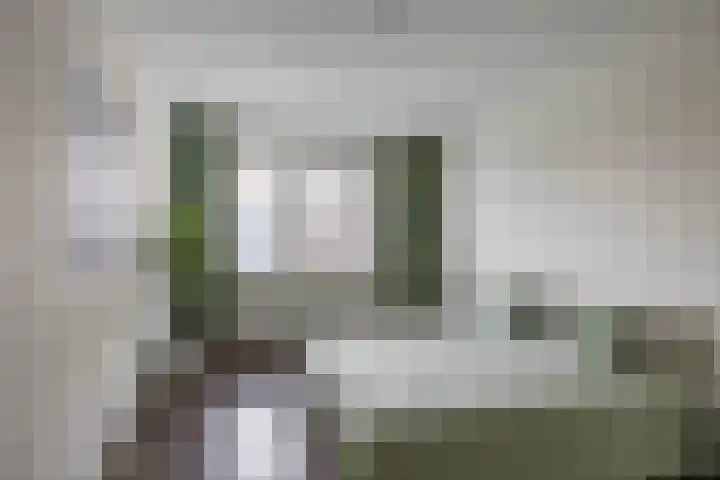 Reitdiephaven 433 Groningen thumbnail 33
