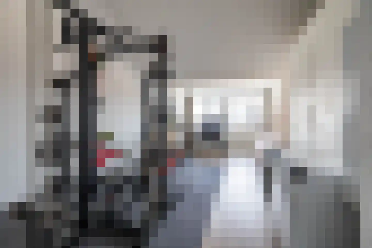 Reitdiephaven 558 Groningen thumbnail 35