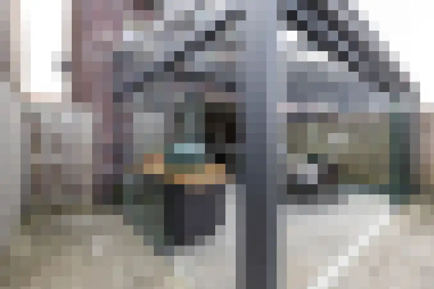 Reitdiephaven 558 Groningen thumbnail 40
