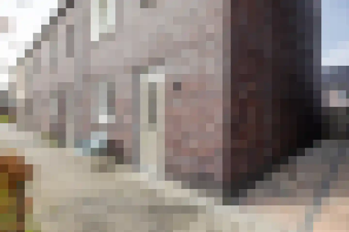 Reitdiephaven 558 Groningen thumbnail 5