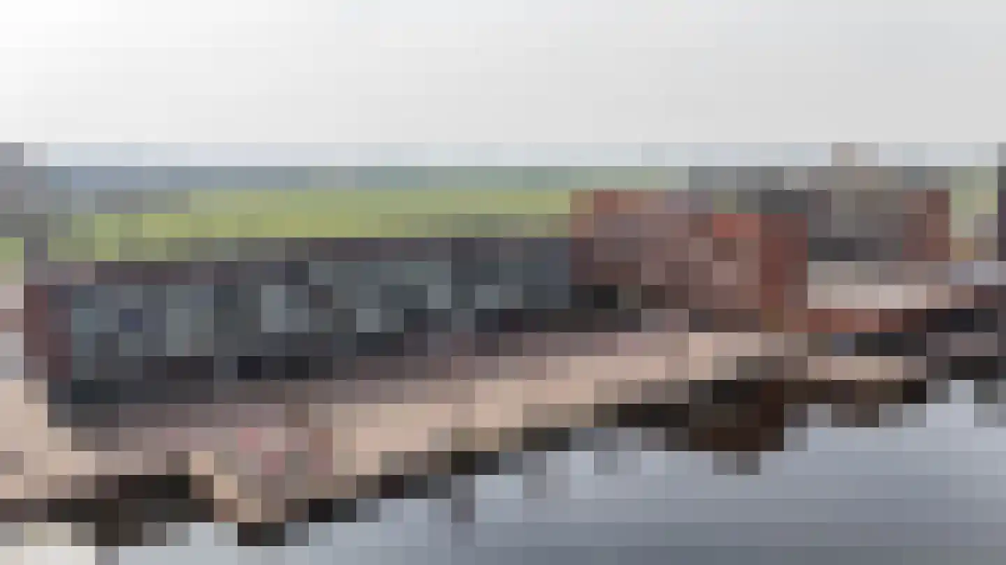 Reitdiephaven 558 Groningen thumbnail 51