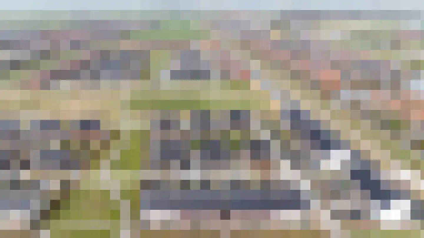 Reitdiephaven 558 Groningen thumbnail 52