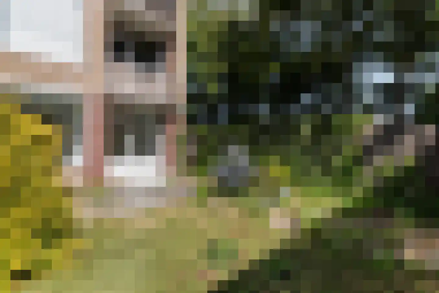 Reitdiepstraat 1 Dordrecht thumbnail 20
