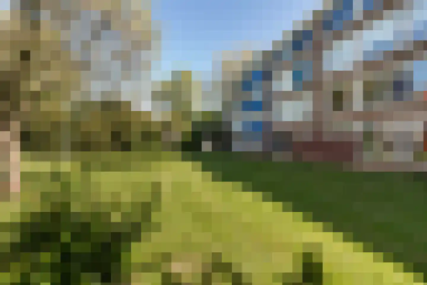 Reitdiepstraat 1 Dordrecht thumbnail 31