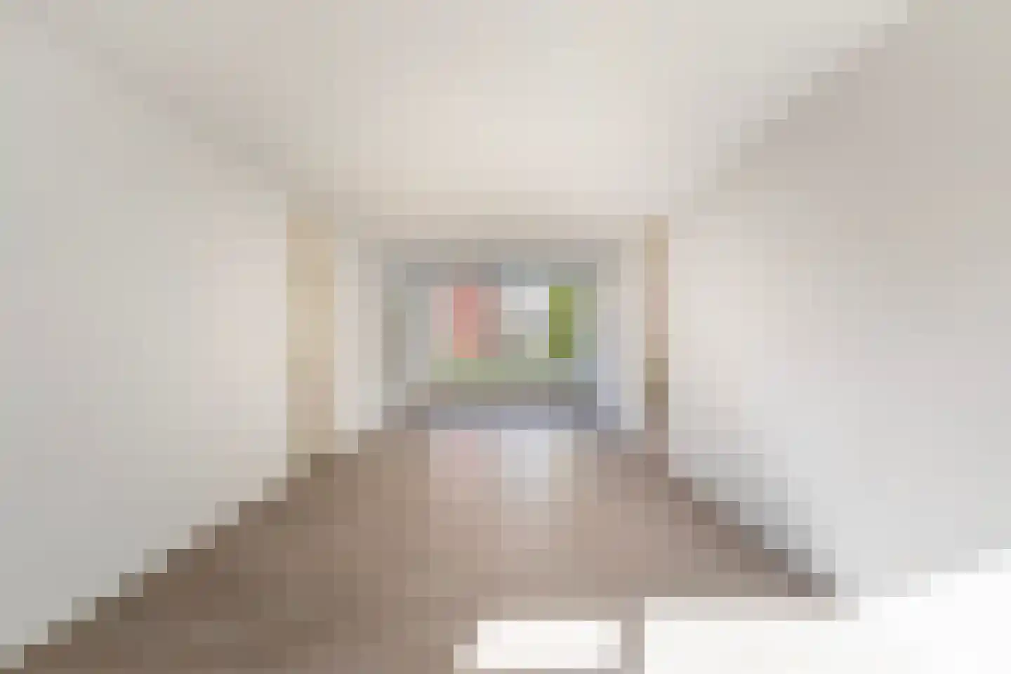 Reitdiepstraat 1 Dordrecht thumbnail 6